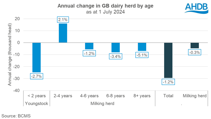 Graph showing the year on year change in dairy population by age category